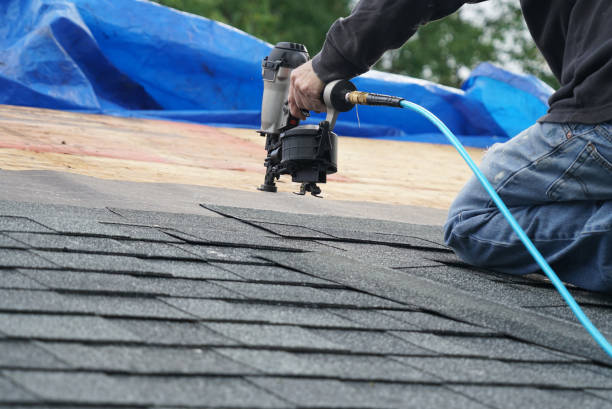 Asphalt Shingles Roofing in Muse, PA